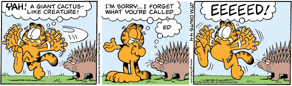 garfield